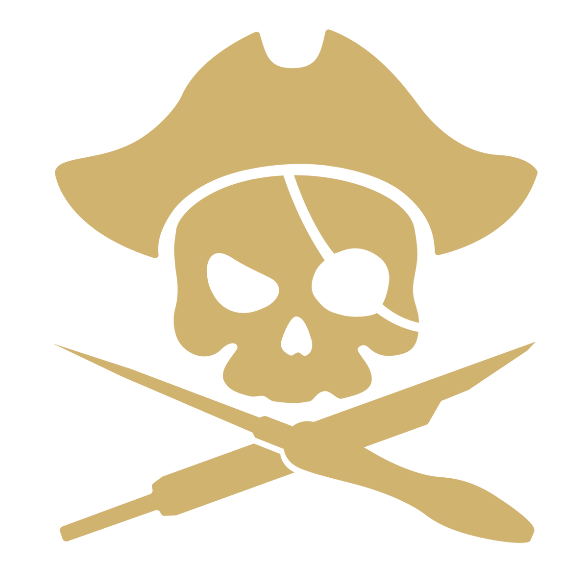 important-information-for-eu-customers-pirate-goods